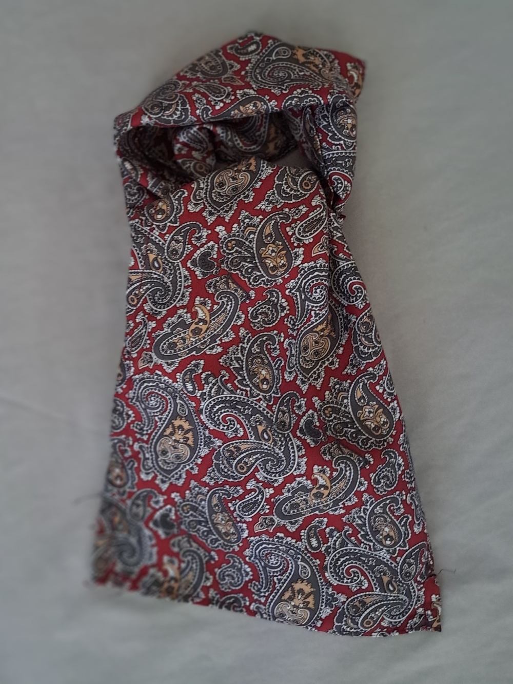 Men's Ascot Cravat - Red Paisley Silk